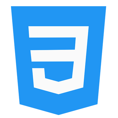 CSS Logo